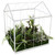 Artificial Succulent Mini Metal Greenhouse Terrarium - 10" - White - IMAGE 2