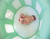 4-in-1 Room to Grow Portable Green Inflatable Baby Play Yard - IMAGE 3