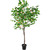 6.5' Large Artificial Apple Tree in Black Pot - IMAGE 1