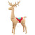 Lighted Standing Reindeer Outdoor Christmas Decoration - 60" - IMAGE 2