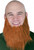 Pack of 12 Brown Traditional Men Adult Halloween Beard Costume Accessories 12.75" - IMAGE 1