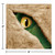 Club Pack of 192 Brown and Green Dino Blast 3-Ply Disposable Beverage Napkins 5" - IMAGE 2