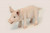 Set of 3 Pink Handcrafted Soft Plush Standing Piglet Stuffed Animals 13.25" - IMAGE 1