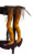 18.5" Orange and Black Spiderweb Wicked Witch Legs Halloween Tabletop Decor - IMAGE 1