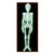 Pack of 12 Spooky Nite-Glo Jointed Skeleton Halloween Decorations 4' - IMAGE 1