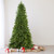 14' Pre-Lit Eastern Pine Slim Artificial Christmas Tree - Clear Lights - IMAGE 2