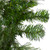 Snow Mountain Pine Artificial Christmas Wreath - 24" - Unlit - IMAGE 6