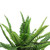 17.5" Potted Artificial Tall Green Boston Fern Plant - IMAGE 4