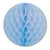 Club Pack of 24 Light Blue Honeycomb Hanging Tissue Ball Decorations 12" - IMAGE 1