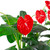41" Red and Black Potted Tropical Artificial Anthurium Plant In a Black Pot - IMAGE 3