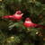 Pack of 12 Red and White Smoke Spotted Bird Christmas Ornaments 5" - IMAGE 2