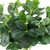14.5" Green Artificial Polyscias Floral Bush - IMAGE 4