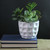 9.5" Green and White Artificial Mixed Spring Potted Succulent Plant - IMAGE 2