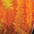 Orange Fuzzy Boa Party Garland 0.75" x 55 Yards - IMAGE 1