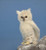 Pack of 6 Life-Like Handcrafted Extra Soft Plush Snow Owl Stuffed Animals 7" - IMAGE 1