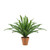 17.5" Potted Artificial Green Boston Fern Plant - IMAGE 1
