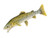 Set of 4 Yellow and White Handcrafted Soft Plush Cutthroat Trout Fish Stuffed Animals 14" - IMAGE 1