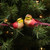 12ct Red and Yellow Spotted Bird Christmas Ornaments 4.75" - IMAGE 3