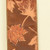 Brown Fall Maple Leaf Wired Craft Ribbon 2" x 40 Yards - IMAGE 1