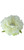 Jeweled Peonies Artificial Floating Flowers - 4.5" - White - Set of 2 - IMAGE 3