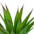 Potted Artificial Agave Succulent Plant - 13.5" - IMAGE 6