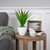 Potted Artificial Agave Succulent Plant - 13.5" - IMAGE 2