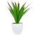 13.5" Potted Artificial Green and Red Agave Succulent Plant - IMAGE 1