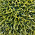 Potted Two-Tone Artificial Grass Ball Topiary Plant - 18" - IMAGE 5