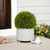 Potted Two-Tone Artificial Grass Ball Topiary Plant - 18" - IMAGE 1
