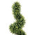 Potted Two Tone Artificial Boxwood Spiral Topiary Tree - 5.5' - IMAGE 3