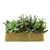 12.5" Green Artificial Mixed Succulent Arrangement in Planter Box - IMAGE 1