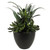 11" Potted Mixed Green Artificial Succulent Plant - IMAGE 1