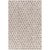 5' x 7.5' Geometric Gray and Beige Hand Crafted Rectangular Area Throw Rug - IMAGE 1