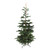 Real Touch™️ Nordmann Fir Layered Artificial Christmas Tree - Unlit - 9' - IMAGE 2