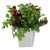 8" Green and Silver Potted Artificial Boxwood with Berries Christmas Arrangement - IMAGE 3