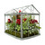 9" Red and Green Cardinal Boxwood Artificial Christmas Greenhouse Arrangement - IMAGE 1