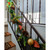 Real Touch™️ Mixed Pine Greenery and Pinecones Artificial Christmas Garland - 5' x 5" - Unlit - IMAGE 4
