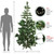 7' Pre-Lit Medium Pine Artificial Christmas Tree - Warm Clear LED Lights - IMAGE 4