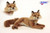 Set of 3 Brown and White Handcrafted Soft Plush Laying Red Fox Stuffed Animals 15.5" - IMAGE 2
