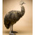 Handcrafted Lifesize Emu Plush Bird - 50" - Brown - IMAGE 1