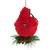 Burlap Cardinal with Pine Needles and Berries Christmas Ornament - 5.25" - Red - IMAGE 6