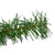 Dakota Red Pine Artificial Christmas Wreath - 48" - Unlit - IMAGE 2