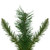 Pre-Lit Dakota Red Pine Artificial Christmas Garland - 9' x 16" - Warm White LED Lights - IMAGE 4
