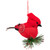 Burlap Cardinal with Pine Needles and Berries Christmas Ornament - 6.5" - Red