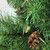 3' Pre-Lit Green Medium Dakota Pine Artificial Christmas Tree - Clear AlwaysLit Lights - IMAGE 3