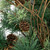 Country Mixed Pine Artificial Christmas Twig Wall Tree with Pinecones - 2' - Unlit - IMAGE 3