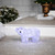 LED Lighted Commercial Grade Polar Bear Cub Acrylic Outdoor Christmas Decoration - 13.5" - IMAGE 1