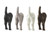 Pack of 8 Assorted Dog Tail Decorative Wall Hooks 4.75" - IMAGE 1