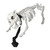 16.5" Skeleton Dog on Leash Halloween Decoration - IMAGE 1