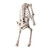 18.5" Standing Skeleton Cat Halloween Figurine - IMAGE 1